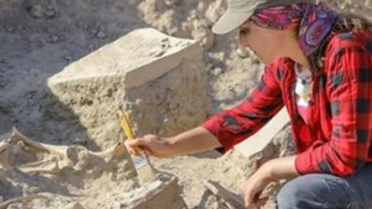 Van'da 2 bin 800 yıllık at iskeleti bulundu