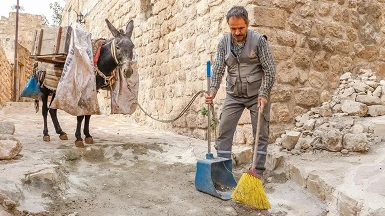 Kadrolu eşekler 7 yıl çalışıp emekli oluyorlar