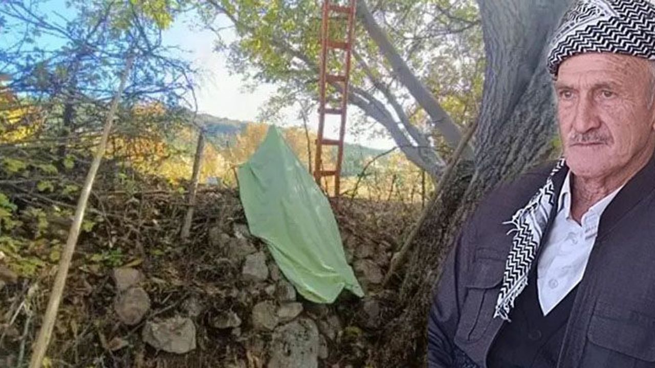 Hakkari’de ceviz ağacından düşen vatandaş hayatını kaybetti