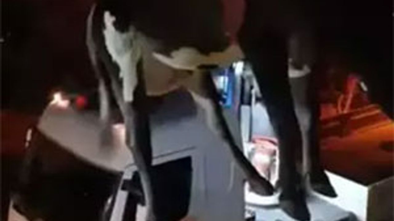Dama çıkan 'İnek' vinçle indirildi