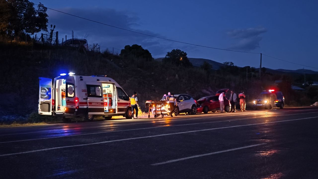 Bingöl'de ineğe çarpan otomobildeki 1 kişi yaralandı