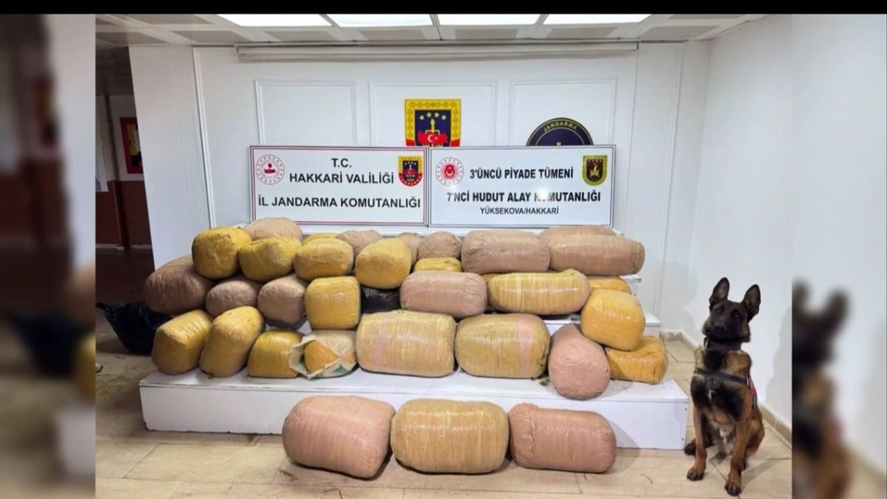 Hakkari’de İHA destekli operasyon: 4 tutuklama