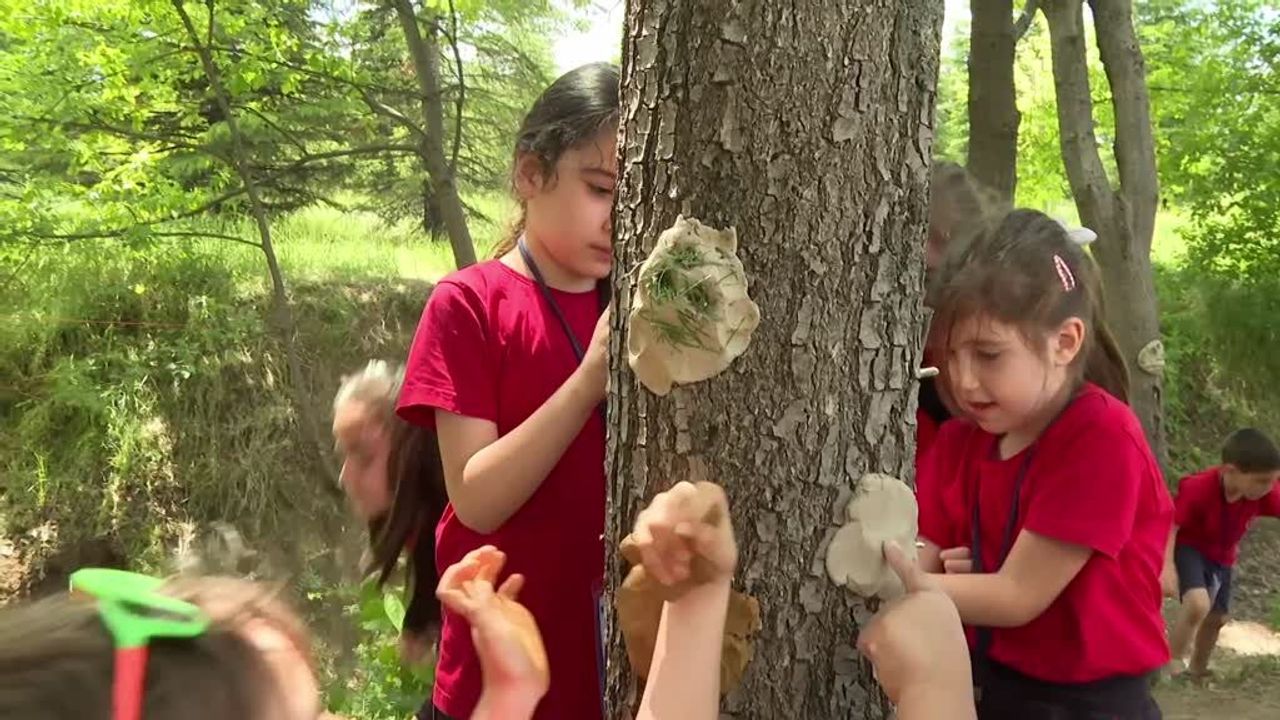 Öğrenciler "Duvarların Ötesinde" projesiyle doğayla buluştu