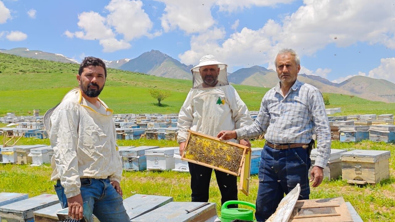 Bodrumlu arıcı, 5 yıldır Hakkari'de bal hasadı yapıyor