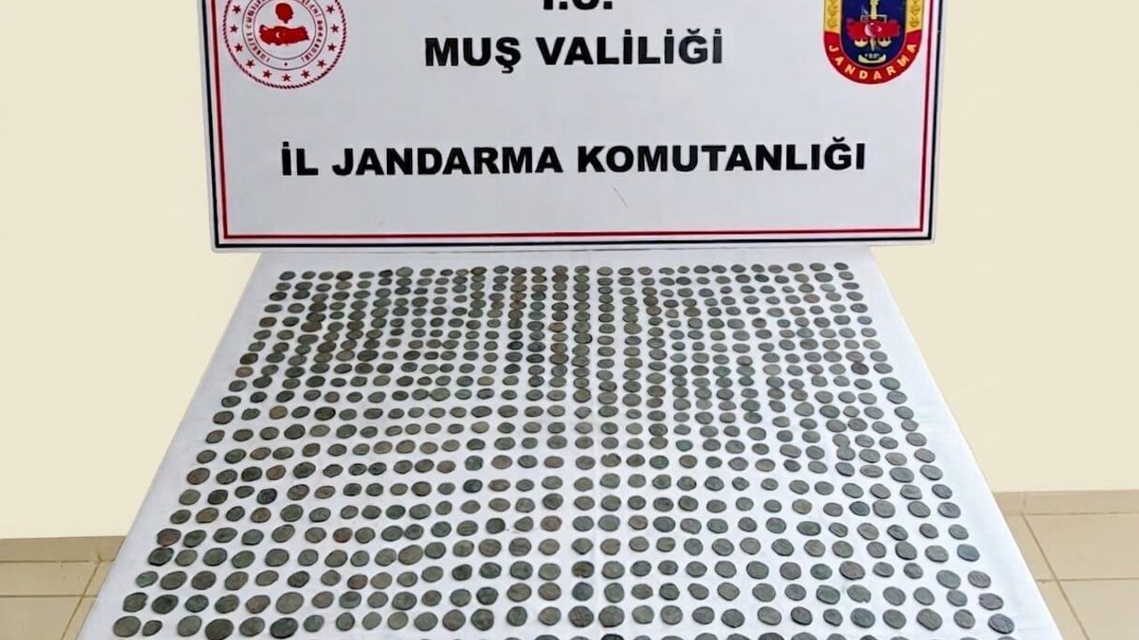 Muş'ta 749 sikke ele geçirildi