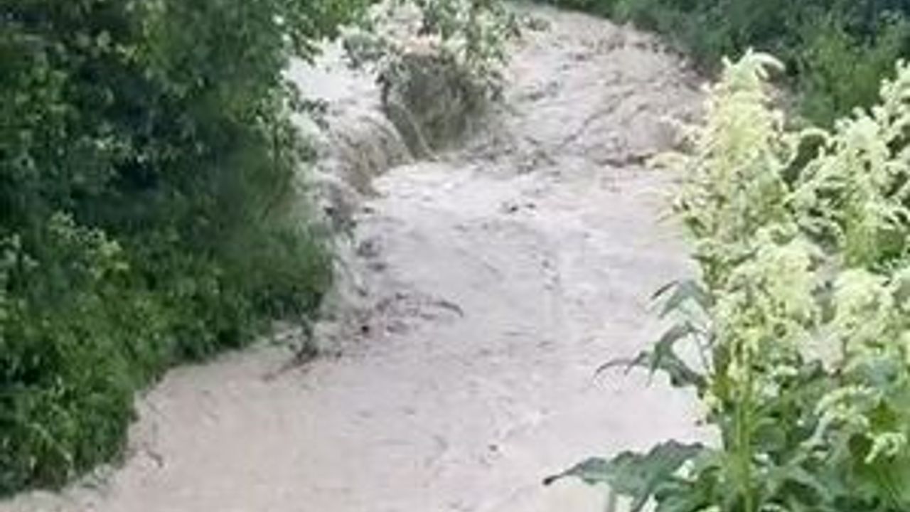 Şiddetli yağışın ardından dereler taştı, tarım arazileri su 