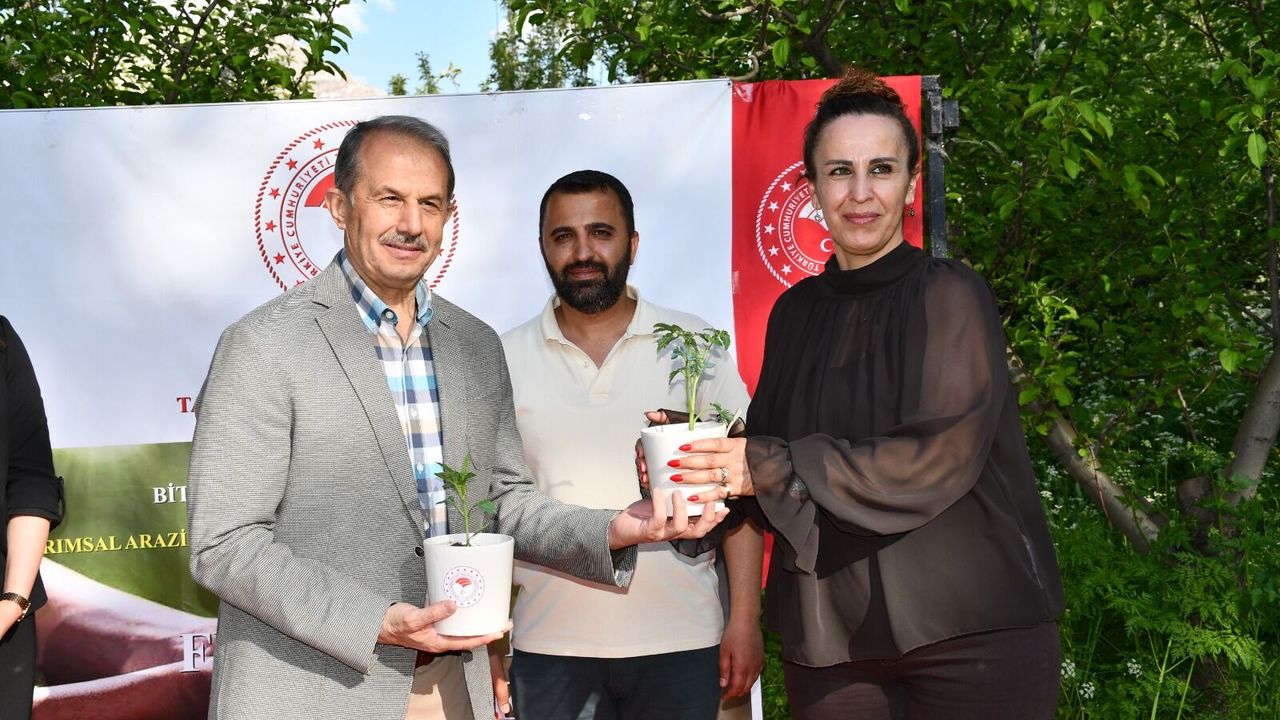 Hakkari'de üreticiye rekor fide desteği
