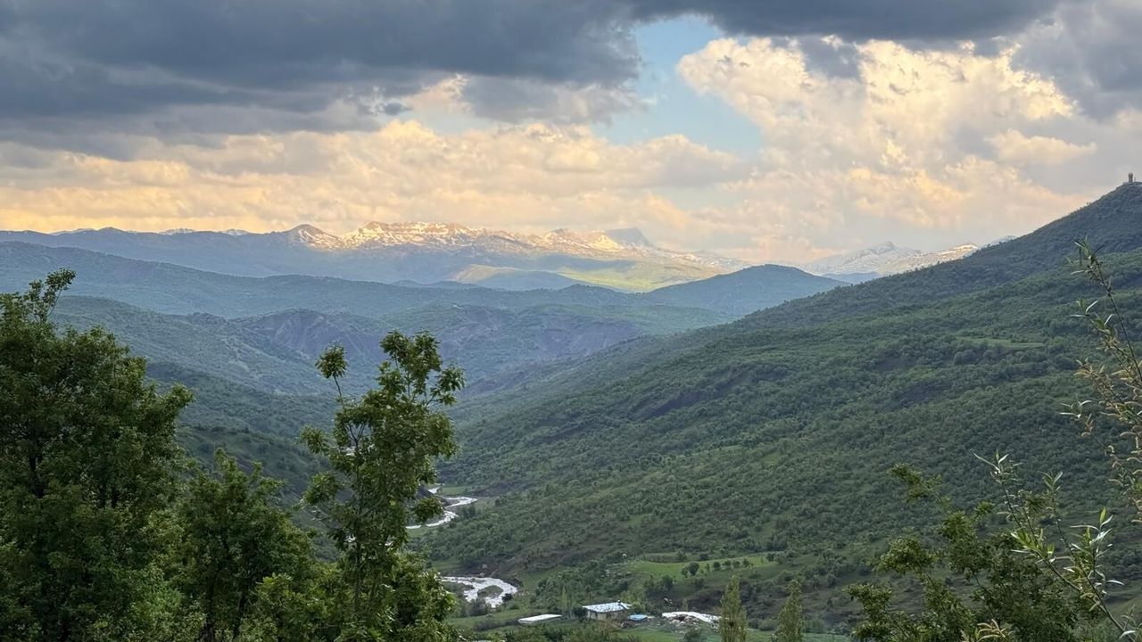 Şırnak'ta ormanlara girişler 30 Eylül'e kadar yasa