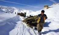 Hakkari’de besiciler karda kızakla hayvanlarına ot taşıyor
