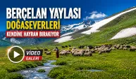 Berçelan Yaylası Doğaseverleri Kendine Hayran Bırakıyor