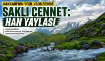 Hakkari’nin yeşil vadilerindeki saklı cennet: Han Yaylası