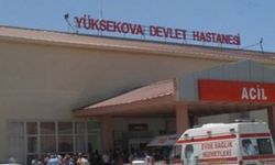 Yüksekova'daki Kayıp Muhtar Ölü Bulundu