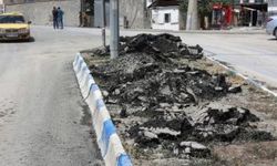 Orta Refüjdeki hafriyat tepkilere neden oldu.