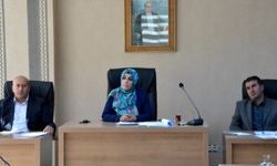 Hakkari İl Genel Meclisi 2018 bütçesini görüşüyor