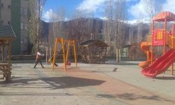 Hakkari Sümbül  Mahallesi İlk Defa Çocuk Parkı İle Tanıştı