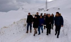 Hakkari Belediyesinin çalışmaları Berçelan Yaylasında sürüyor