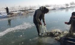 Yüksekova'da Eskimo Usulü Balık Avı