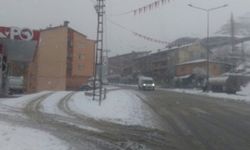 Hakkâri’de kar yağışı yeniden etkili oldu
