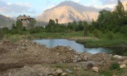 Hakkari'de Doğa Katliamı