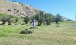 Hakkari’de  Çiftçilerin Kış Hazırlığı