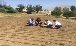 Hakkari’de Demonstrasyon çalışmaları başladı!