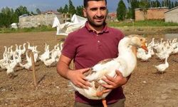 Kaz çiftliği hayalini devlet desteğiyle gerçekleştirdi