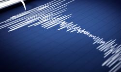 Hakkari'de bir deprem iki ayrı veri kafaları karıştırdı