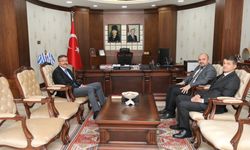 VEDAŞ Bölge Müdürü Talay'dan Vali Çelik'e ziyaret