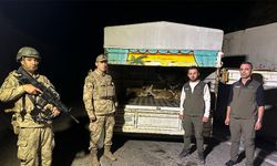 Hakkari'de aracında 4 alageyik yakalanan kişiye rekor ceza