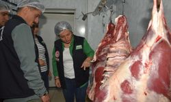 21 işletmeye 442 bin TL kaçak et cezası