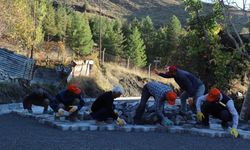 Hakkari'de tahrip olmuş yollar yenilendi