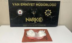Van'da torbacılara operasyon 3 gözaltı