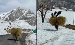 Hakkari'de besicilerin kış mesaisi başladı