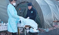 Hakkari'de hayvanlar sağlık taramasından geçirildi