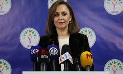 DEM Parti aday göstereceği illeri açıkladı
