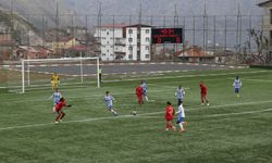 Hakkarigücüspor sahasında Amed Sportif Faaliyetler'e yenildi