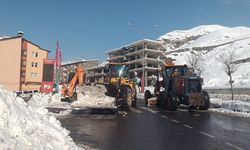 Hakkari'de biriken kar kütleleri şehir dışına çıkartılıyor