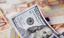 Dolar ve Euro yeni yıla rekorla başladı