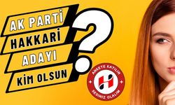 AK Parti Hakkari Adayı Kim Olsun?