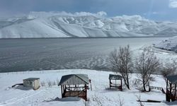 Yüksekova'ya kış geri geldi! Baraj yüzeyini buz tuttu