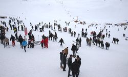 Bu festival Hakkari'ye bahar getirdi