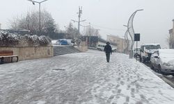 Hakkari'de Mart ayında kar yağışı
