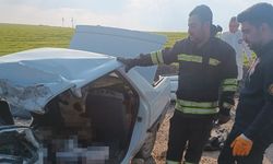 Diyarbakır'da dede-torun trafik kazasında hayatını kaybetti