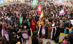 Çukurca'da Newroz coşku ile kutlandı