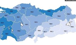 Hakkari'de işsizlik oranı 17.2 oldu