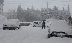 Bitlis ve bir ilçesinde kar nedeniyle okullar tatil edildi
