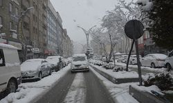 Hakkari'de kış: Lapa lapa kar yağıyor