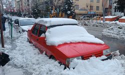 Hakkari ilkbaharda kışı yaşıyor