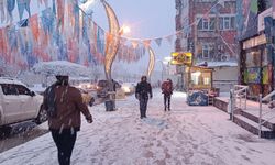 Hakkari'de Mart ayında kar sürprizi