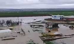 Diyarbakır’da cami ve evleri su bastı